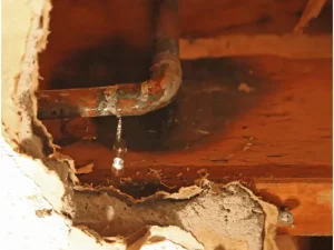 degreaser for drain pipes