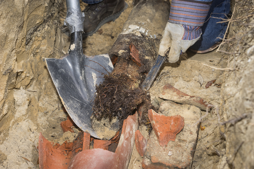 drain cleaning Long Grove IL