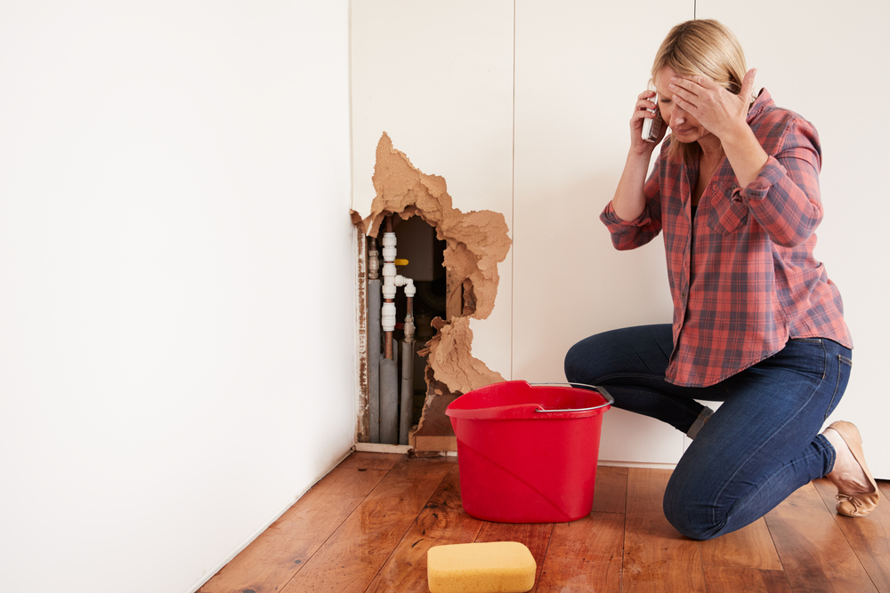 emergency-plumber-palatine-il
